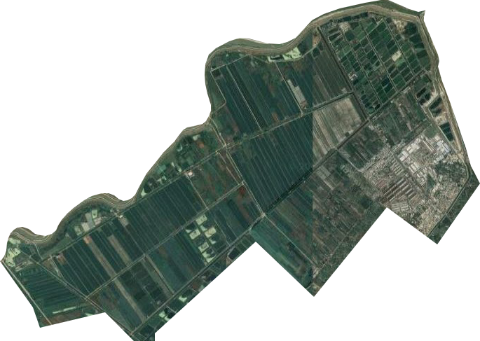 汤泉农场卫星图