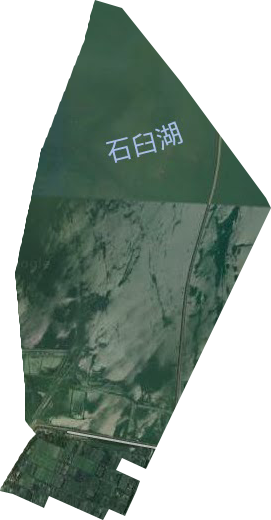 高淳县团结圩良种繁育场卫星图