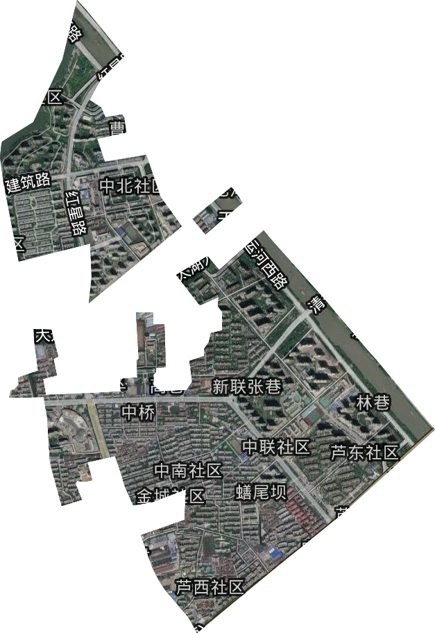 金星街道卫星图