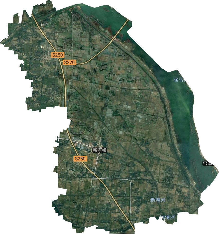 新河镇卫星图