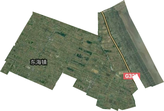 东海镇卫星图