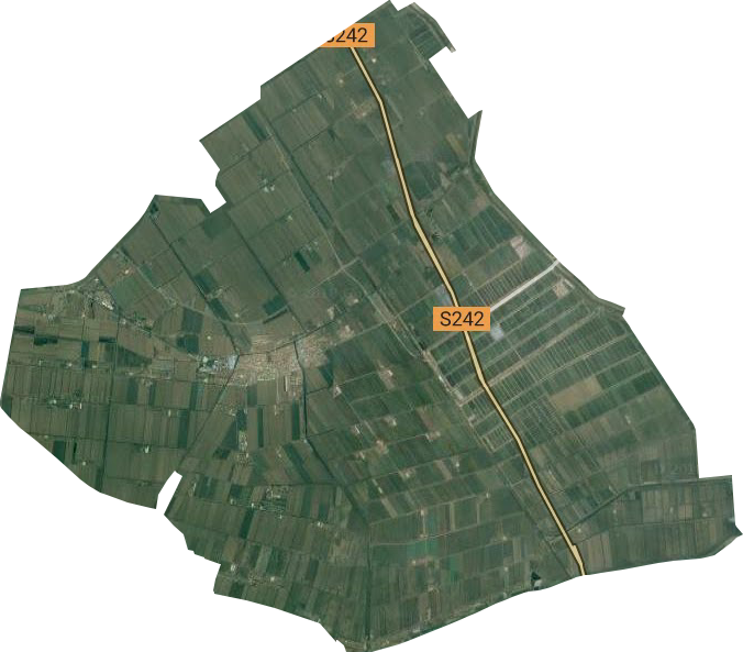 东辛农场卫星图