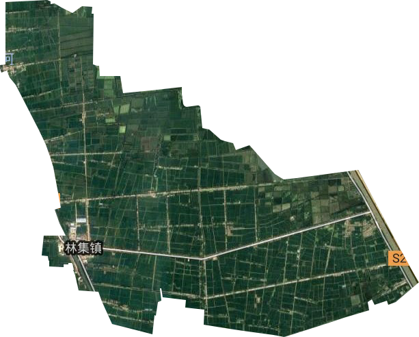 林集镇卫星图