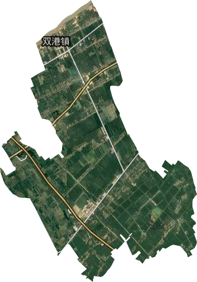 双港镇卫星图