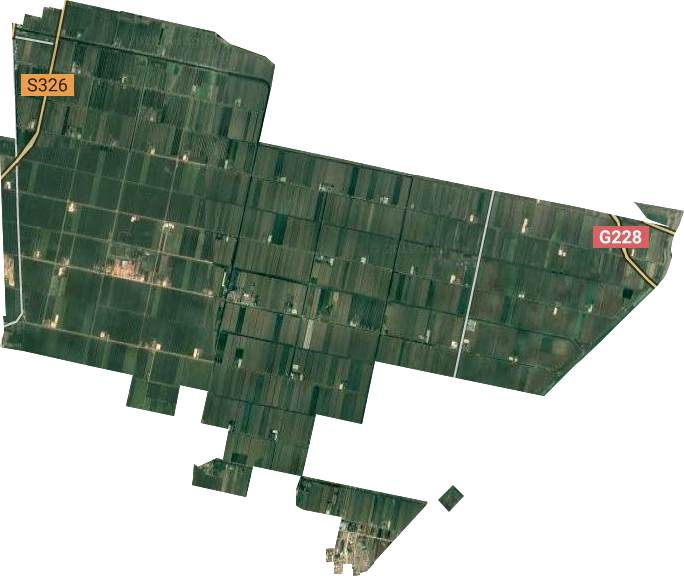 省属黄海农场卫星图