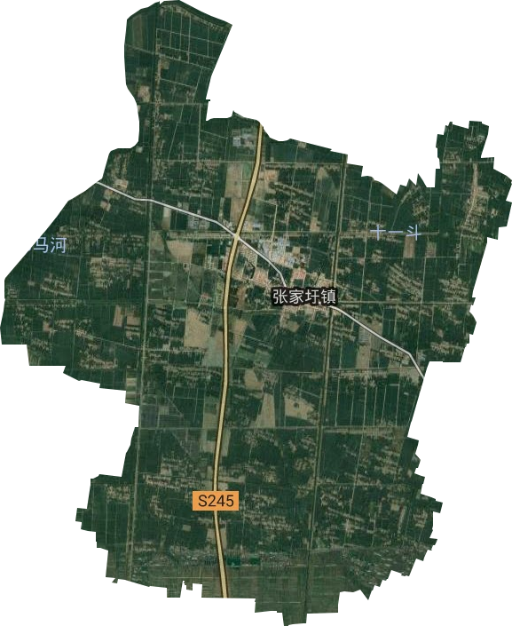 张家圩镇卫星图
