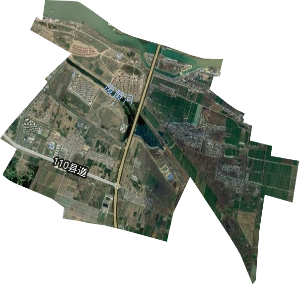 泗阳农场卫星图