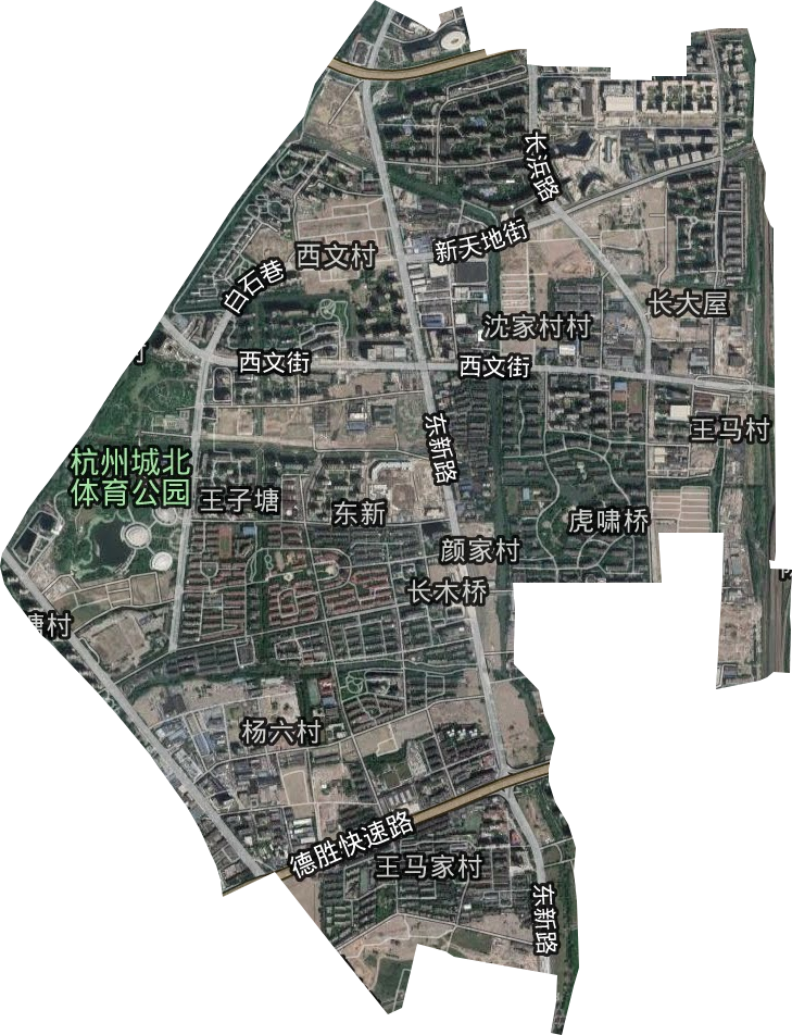 东新街道卫星图