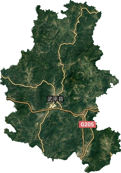 武平县卫星图