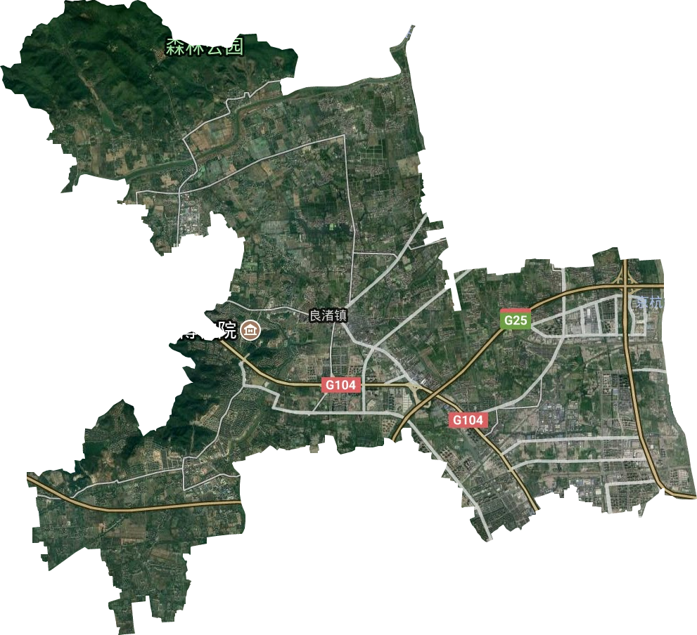 良渚街道卫星图