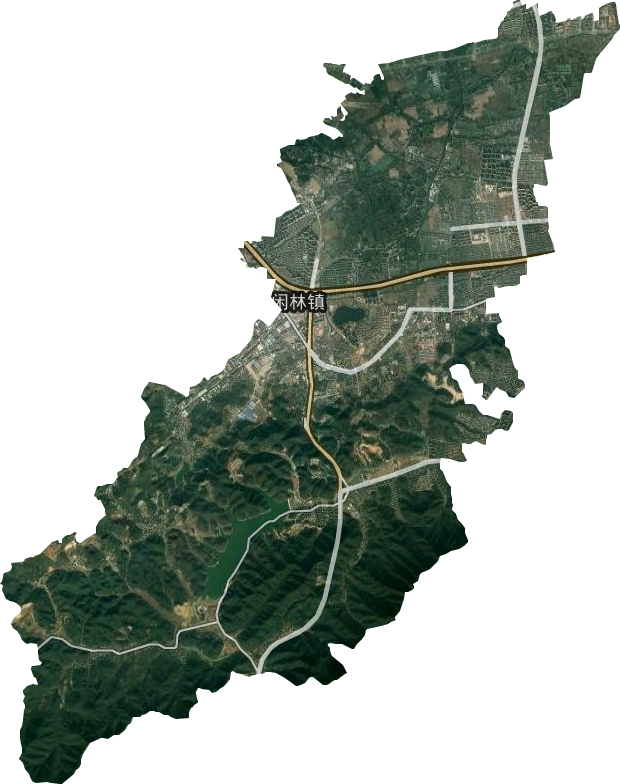 闲林街道卫星图