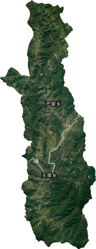 王阜乡卫星图