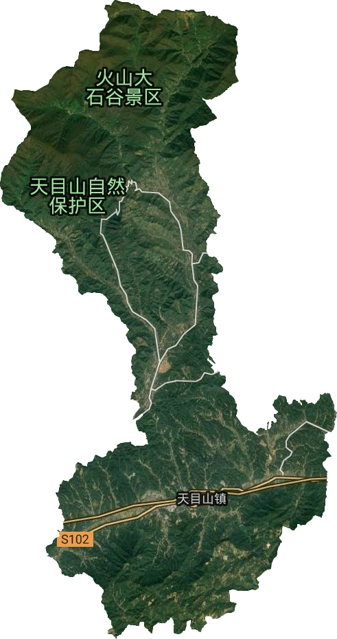 天目山镇卫星图