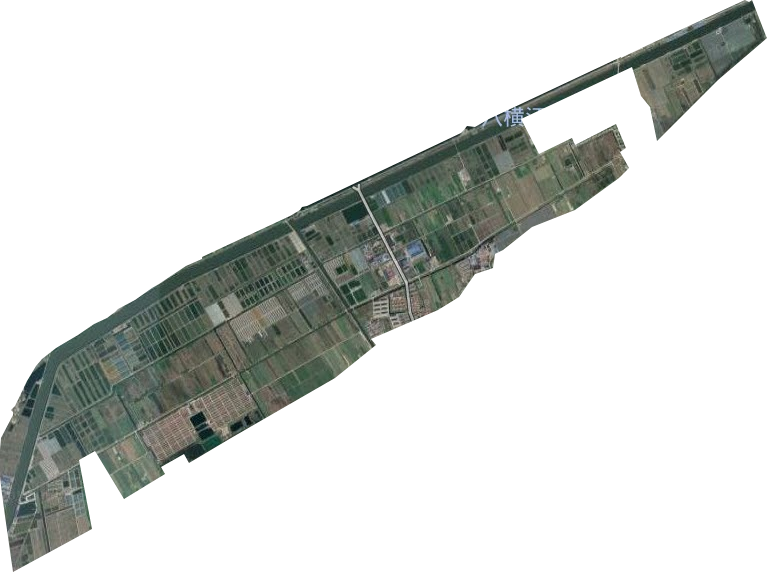 慈溪市农垦场卫星图