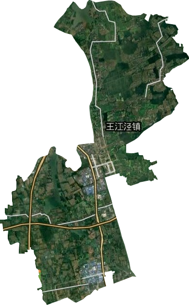 王江泾镇卫星图