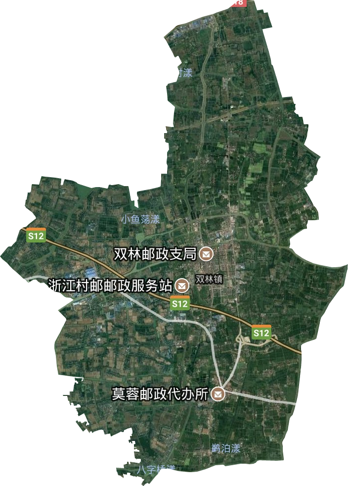 双林镇卫星图