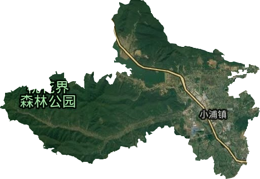 小浦镇卫星图