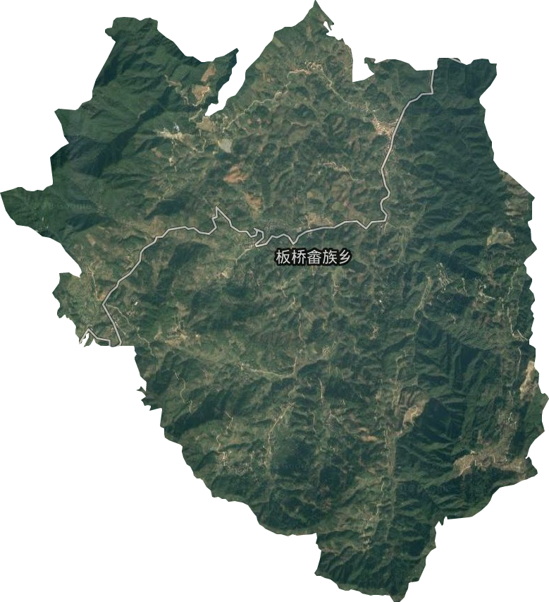 板桥畲族乡卫星图