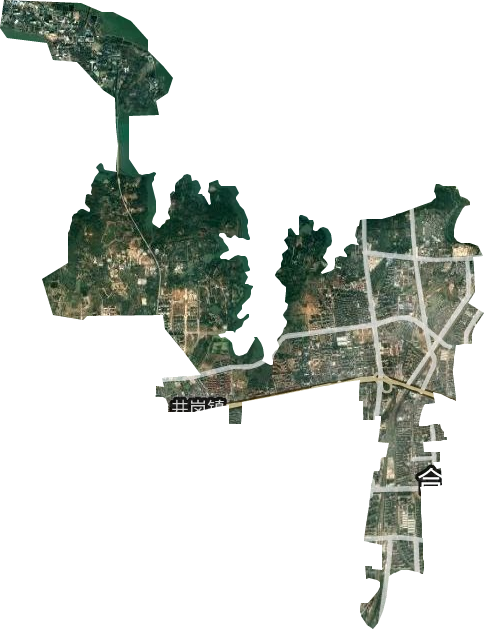 井岗镇卫星图