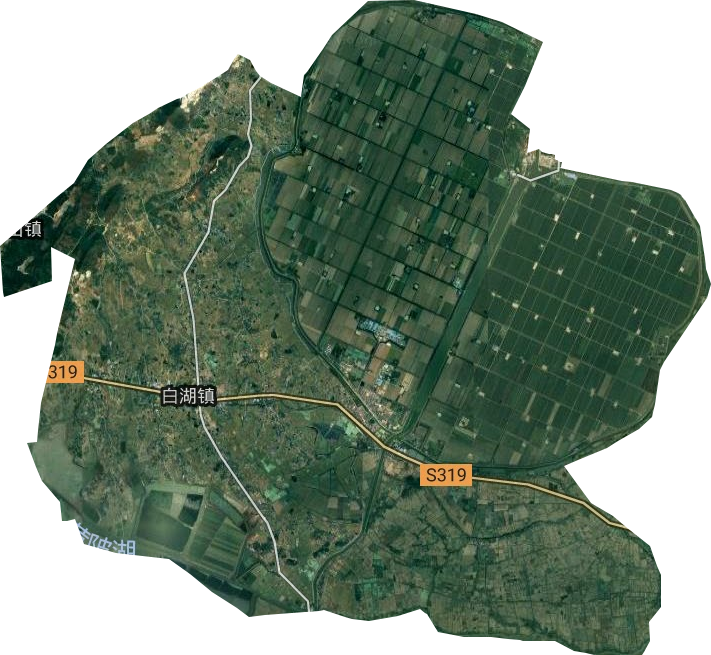 白湖镇卫星图