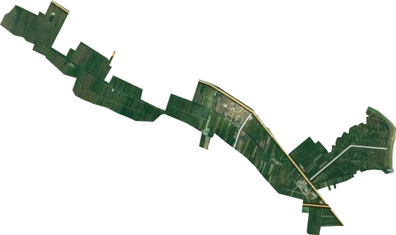 龙亢农场卫星图