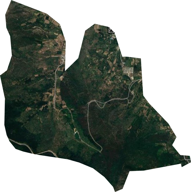 妙山林场卫星图