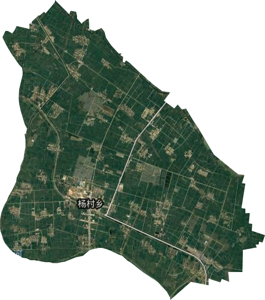 杨村镇卫星图