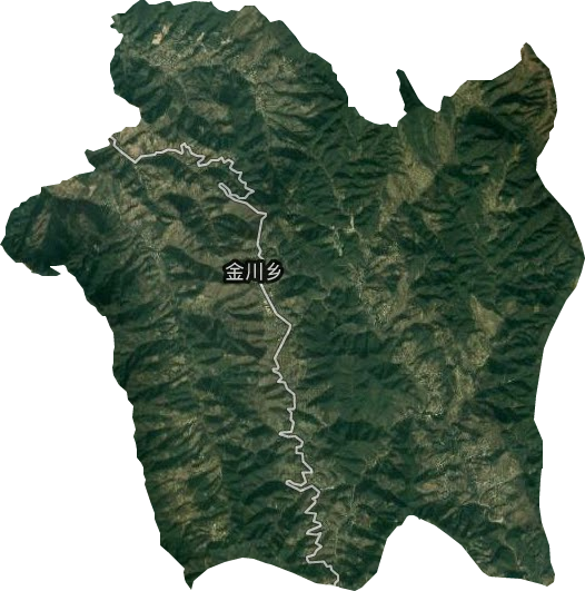 金川乡卫星图