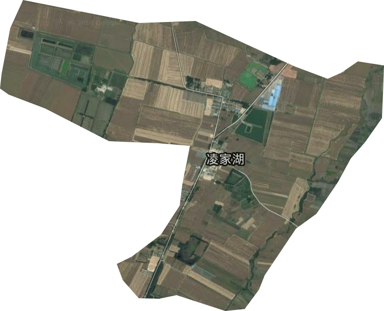 凌家湖农场卫星图