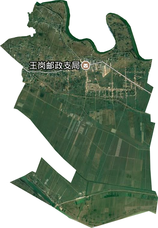 王岗镇卫星图