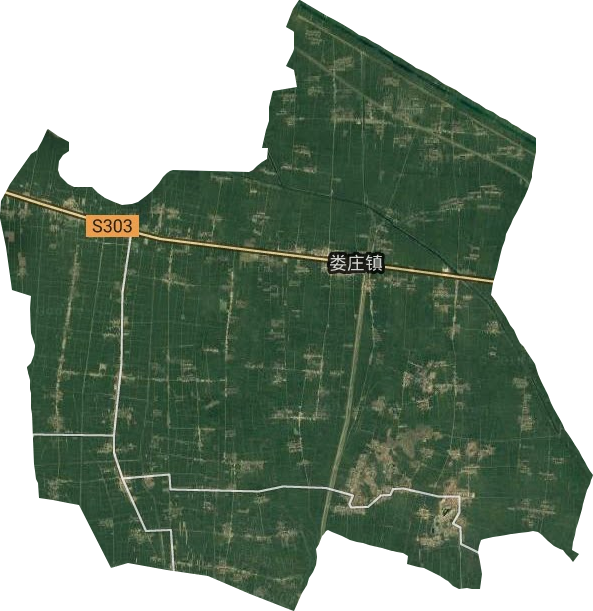 娄庄镇卫星图
