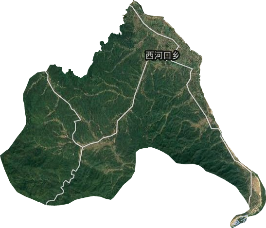 西河口乡卫星图