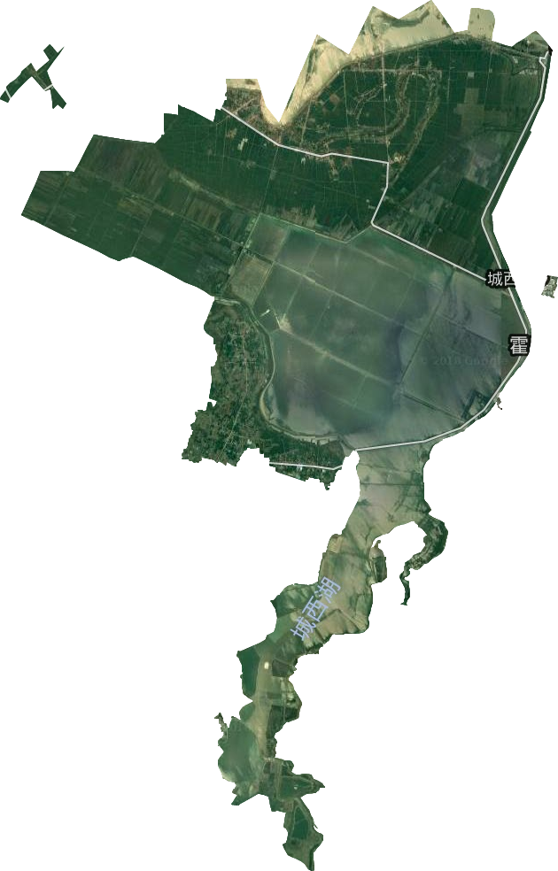 城西湖乡卫星图