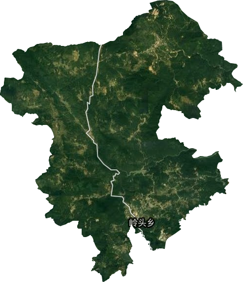 寿山乡卫星图