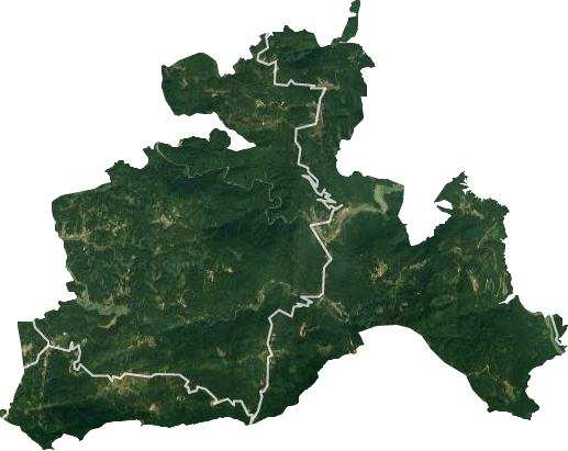 日溪乡卫星图