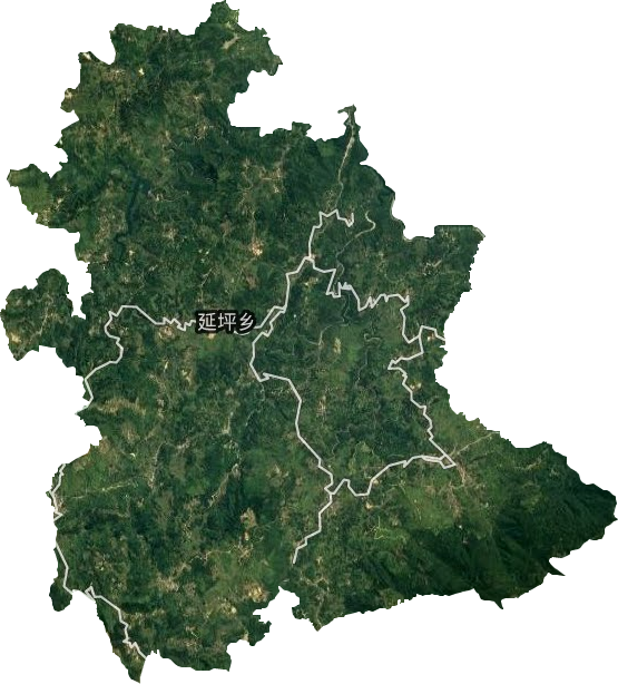 廷坪乡卫星图