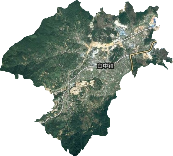 白中镇卫星图