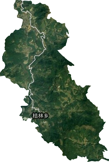 桔林乡卫星图