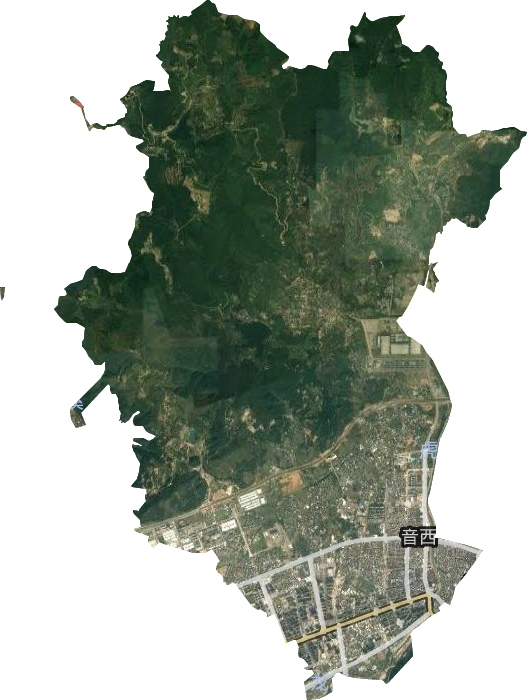 音西街道卫星图