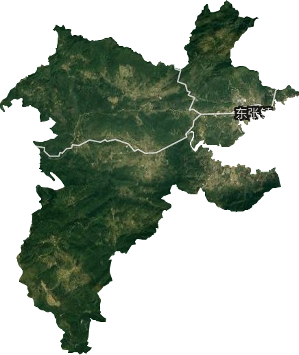 东张镇卫星图