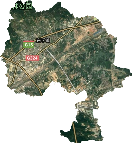 东孚镇卫星图