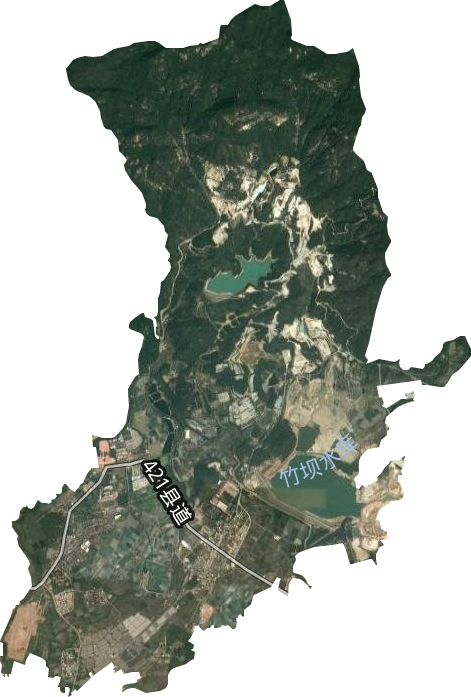 竹坝华侨农场卫星图