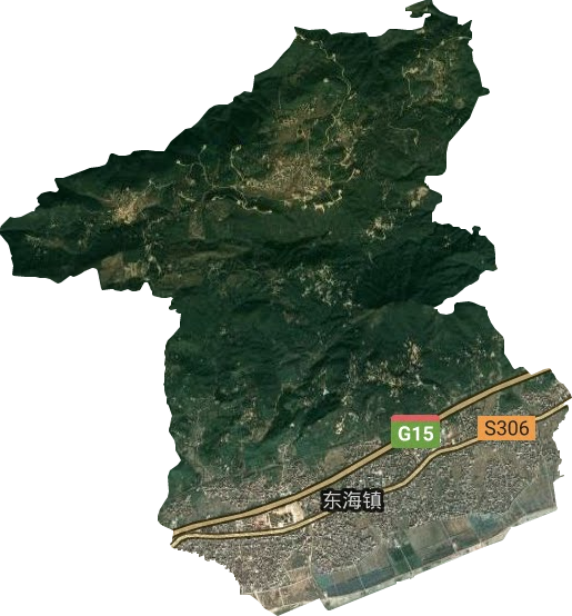 东海镇卫星图