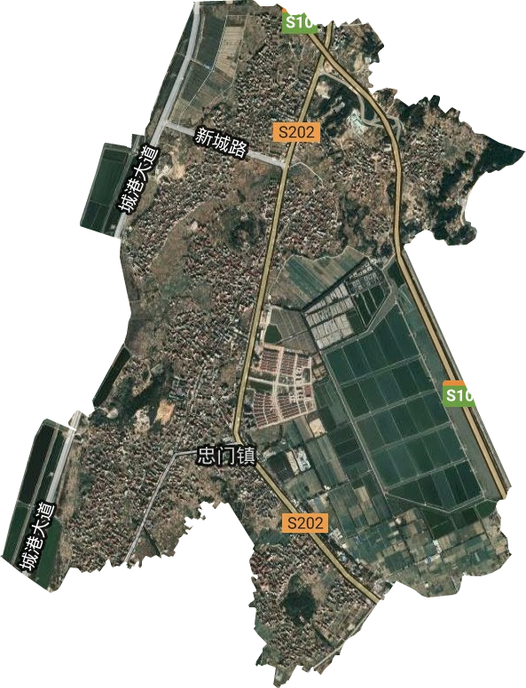 忠门镇卫星图