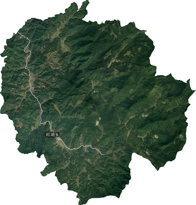 郑湖乡卫星图