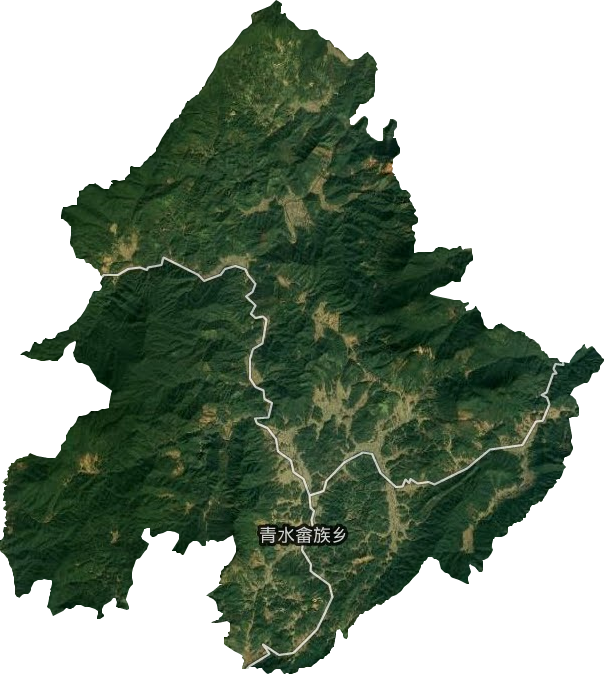 青水乡卫星图