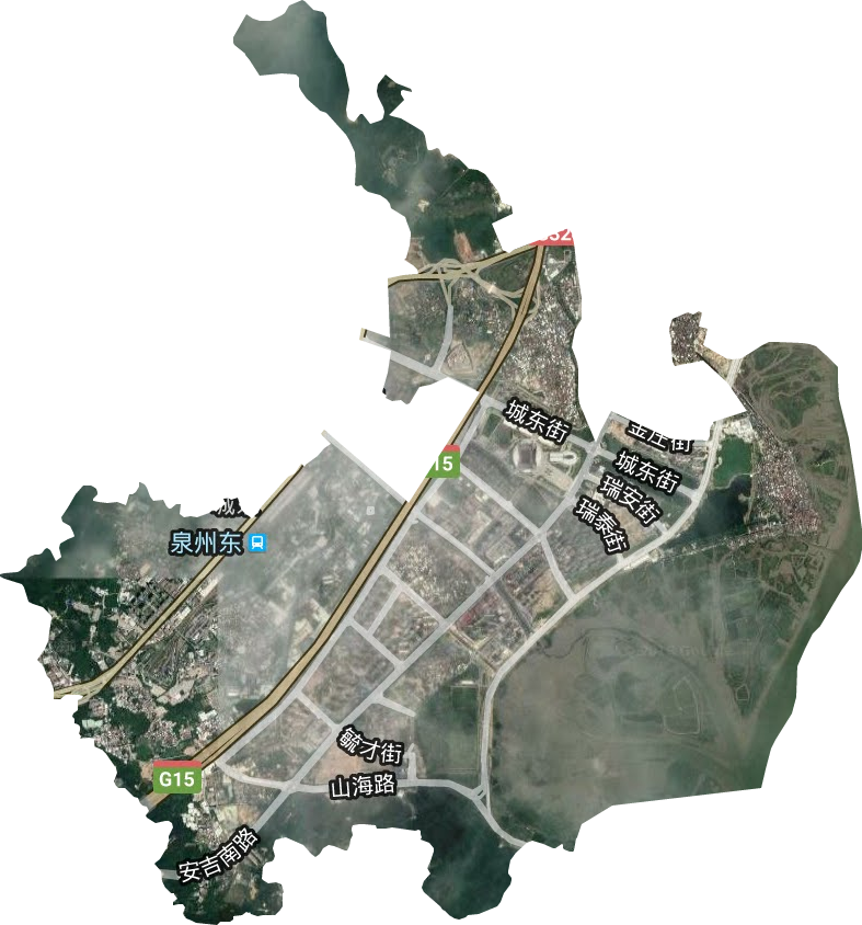 城东街道卫星图