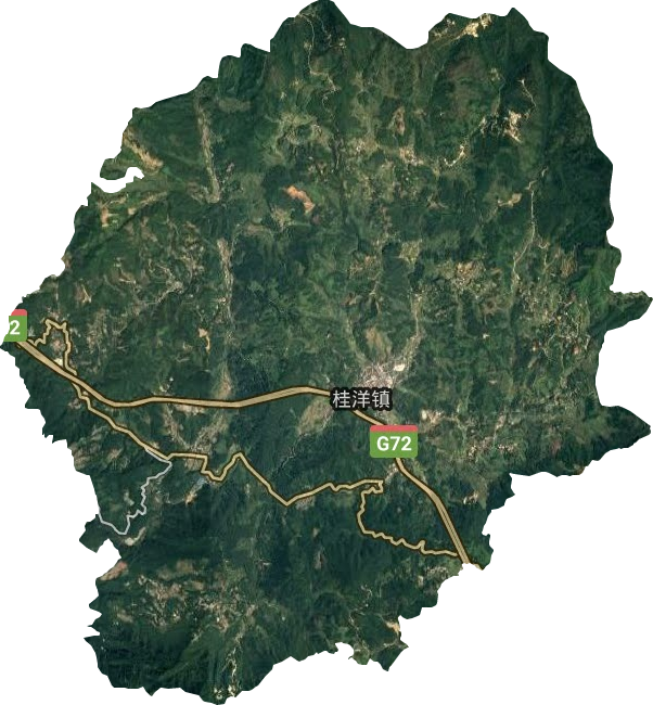 桂洋镇卫星图