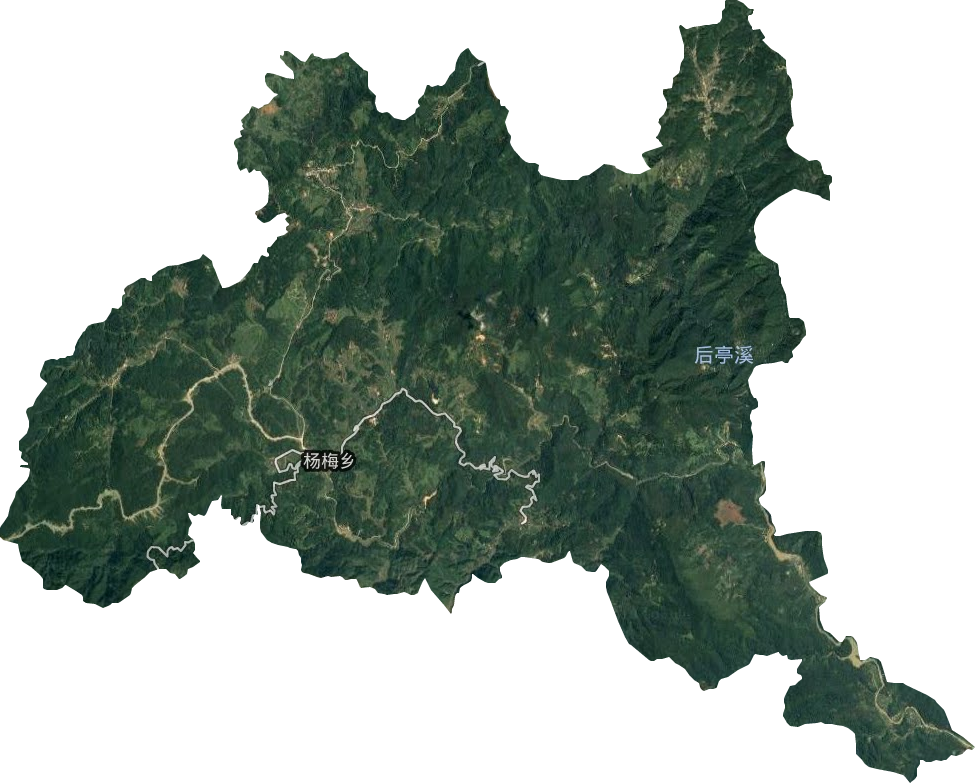 杨梅乡卫星图