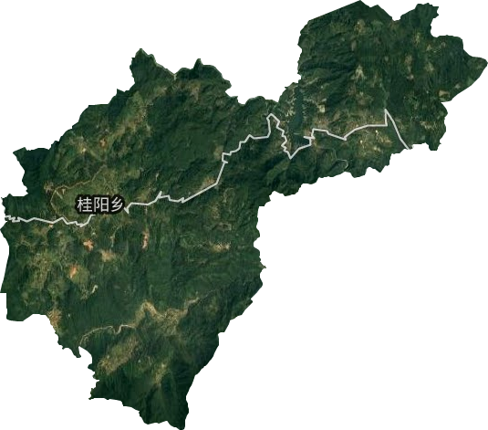 桂阳乡卫星图